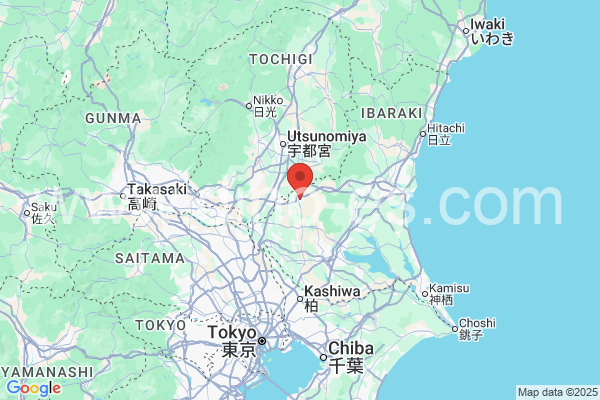 筑西市メンズエステの地図です。map of 筑西市 where spa and massage salons are located