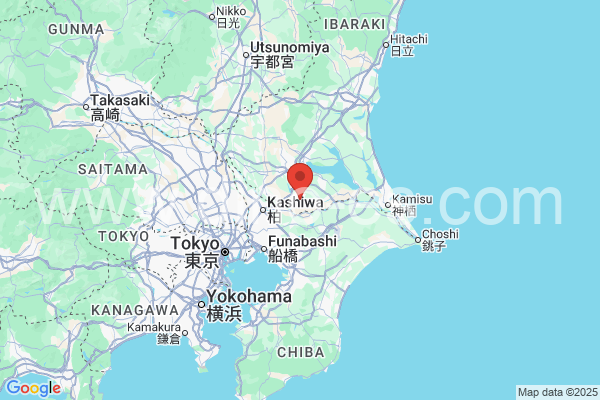 龍ケ崎市メンズエステの地図です。map of 龍ケ崎市 where spa and massage salons are located