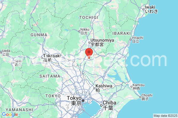 結城市メンズエステの地図です。map of 結城市 where spa and massage salons are located