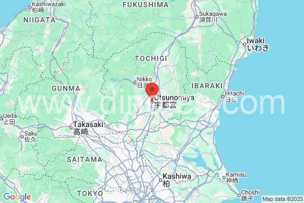 宇都宮市メンズエステの地図です。map of 宇都宮市 where spa and massage salons are located