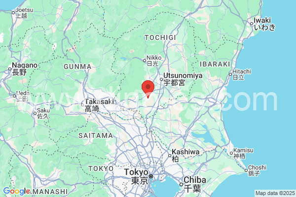 栃木市メンズエステの地図です。map of 栃木市 where spa and massage salons are located