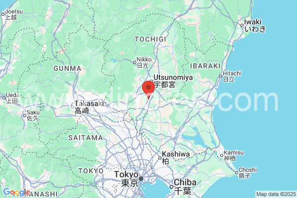 下野市メンズエステの地図です。map of 下野市 where spa and massage salons are located