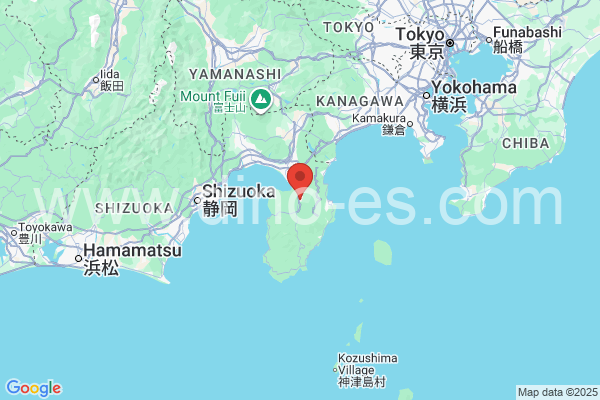 伊豆市メンズエステの地図です。map of 伊豆市 where spa and massage salons are located