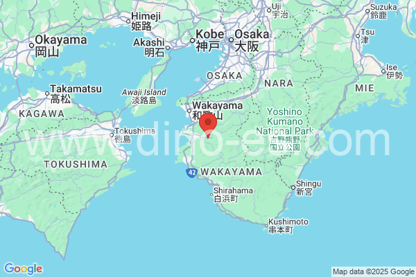 有田郡メンズエステの地図です。map of 有田郡 where spa and massage salons are located