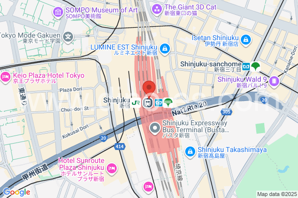 新宿メンズエステの地図です。map of Shinjuku station where spa and massage salons are located