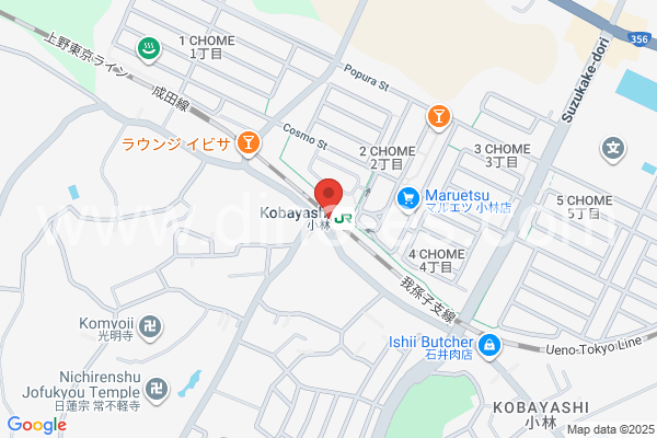 小林(千葉)メンズエステの地図です。map of Obayashi station where spa and massage salons are located