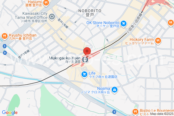 向ヶ丘遊園メンズエステの地図です。map of Mukōgaokayūen station where spa and massage salons are located
