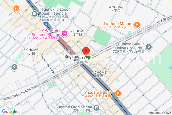 巣鴨メンズエステの地図です。map of Sugamo station where spa and massage salons are located
