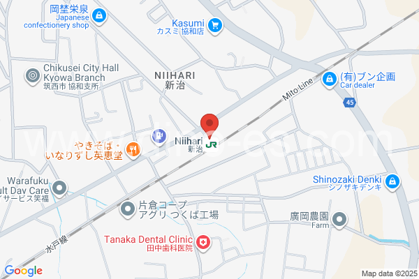 新治メンズエステの地図です。map of Niihari station where spa and massage salons are located