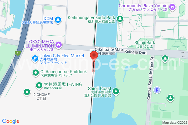 大井競馬場前メンズエステの地図です。map of Ōi Keibajō-mae station where spa and massage salons are located