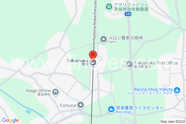 徳宿メンズエステの地図です。map of Tokushuku station where spa and massage salons are located