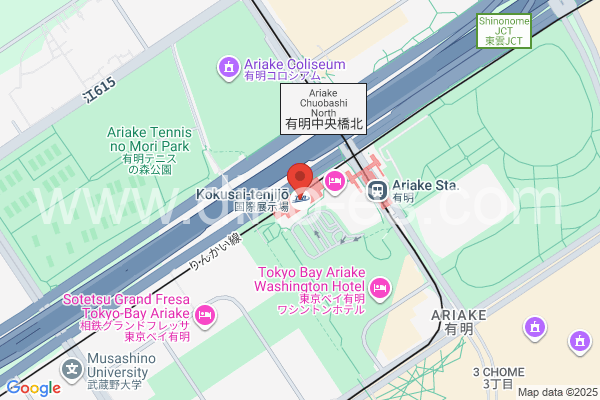 国際展示場メンズエステの地図です。map of Kokusai-Tenjijō station where spa and massage salons are located
