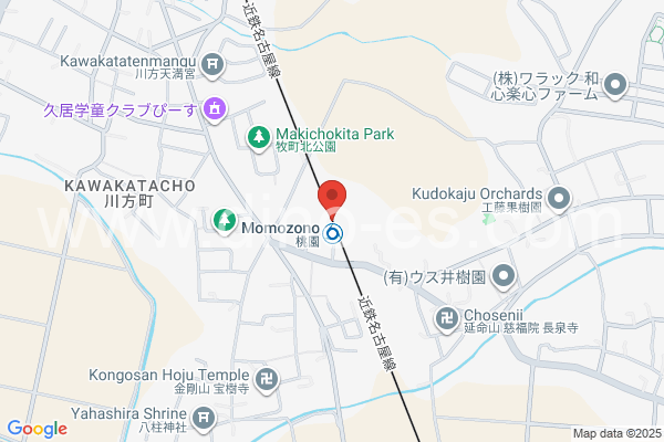 桃園メンズエステの地図です。map of Momozono station where spa and massage salons are located