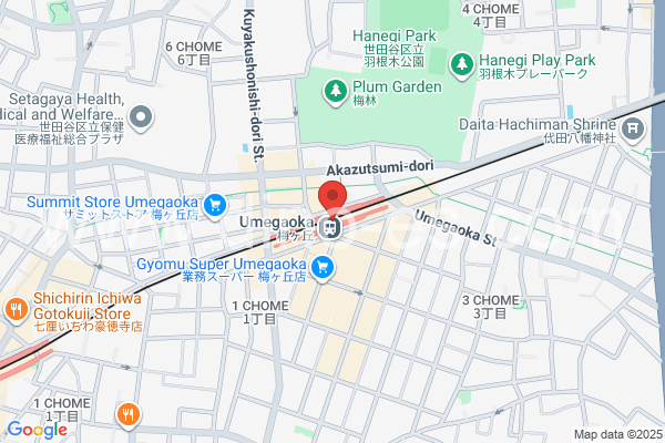 梅ヶ丘メンズエステの地図です。map of Umegaoka station where spa and massage salons are located
