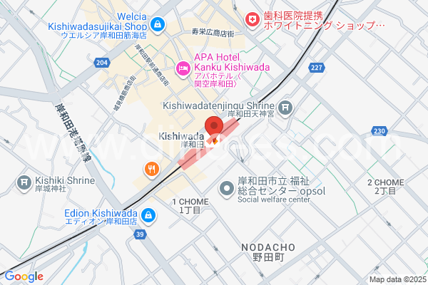 岸和田メンズエステの地図です。map of Kishiwada station where spa and massage salons are located