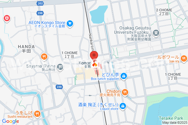金剛メンズエステの地図です。map of Kongō station where spa and massage salons are located