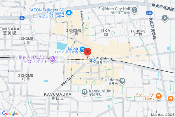 藤井寺メンズエステの地図です。map of Fujiidera station where spa and massage salons are located