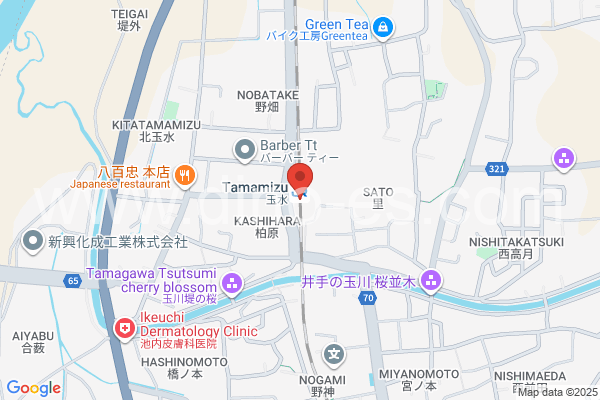玉水メンズエステの地図です。map of Tamamizu station where spa and massage salons are located