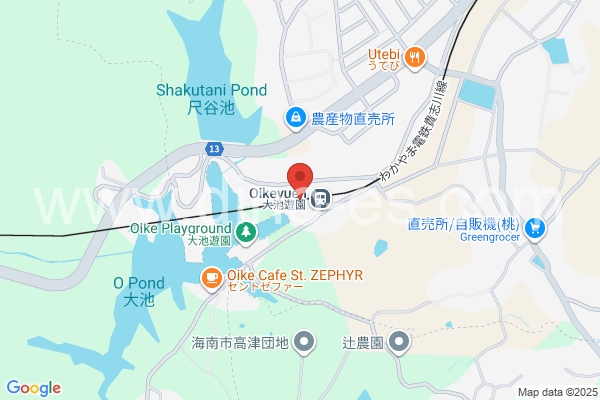 大池遊園メンズエステの地図です。map of Oikeyūen station where spa and massage salons are located