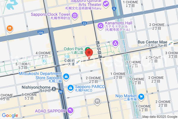 大通メンズエステの地図です。map of Ōdōri station where spa and massage salons are located
