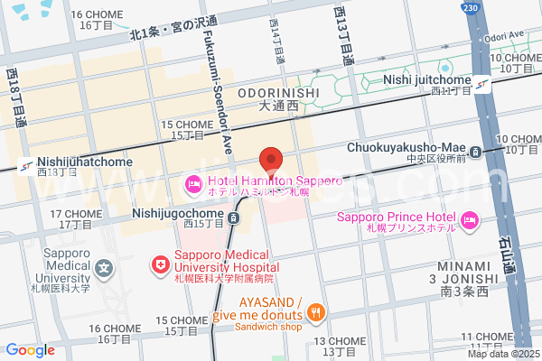 西15丁目メンズエステの地図です。map of Nishi Jūgochōme station where spa and massage salons are located