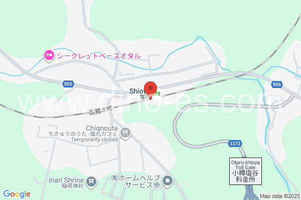 塩谷メンズエステの地図です。map of Shioya station where spa and massage salons are located
