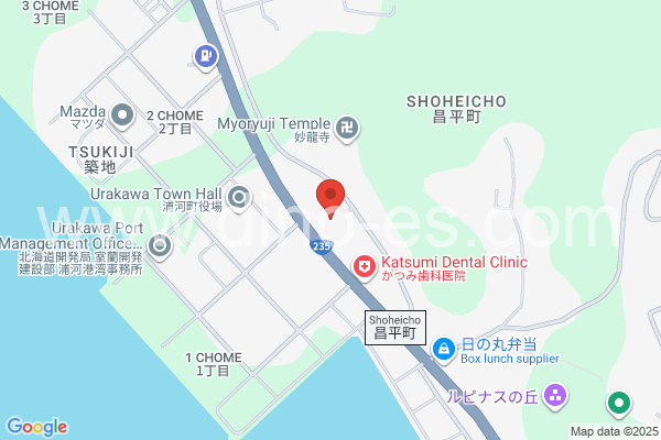 浦河メンズエステの地図です。map of Urakawa station where spa and massage salons are located