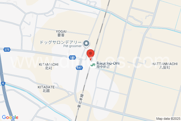 陸中折居メンズエステの地図です。map of Rikuchū-Orii station where spa and massage salons are located