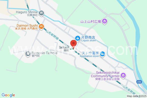 関根メンズエステの地図です。map of Sekine station where spa and massage salons are located