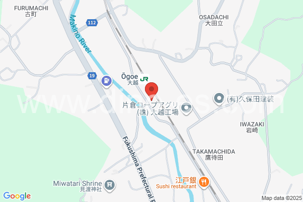 大越メンズエステの地図です。map of Ōgoe station where spa and massage salons are located