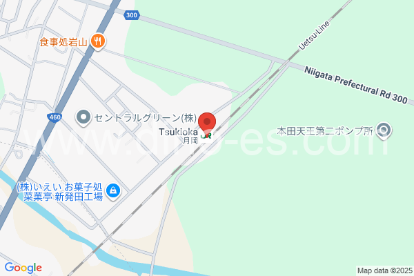 月岡(新潟)メンズエステの地図です。map of Tsukioka station where spa and massage salons are located
