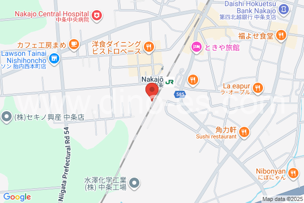 中条メンズエステの地図です。map of Nakajō station where spa and massage salons are located