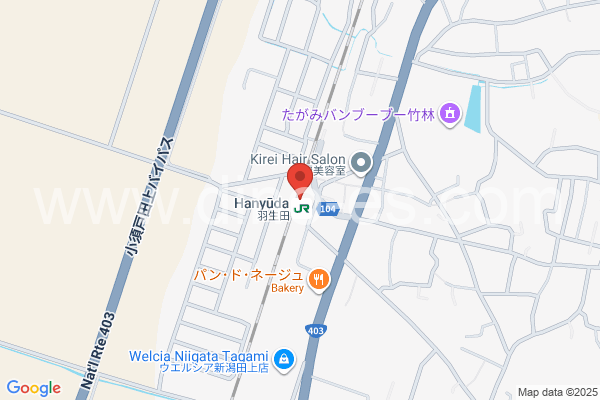 羽生田メンズエステの地図です。map of Hanyūda station where spa and massage salons are located
