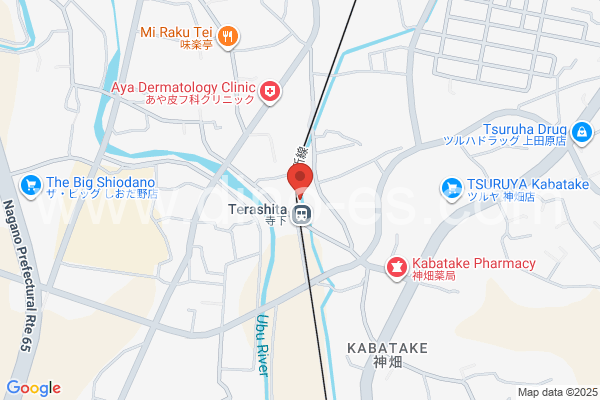 寺下メンズエステの地図です。map of Terashita station where spa and massage salons are located