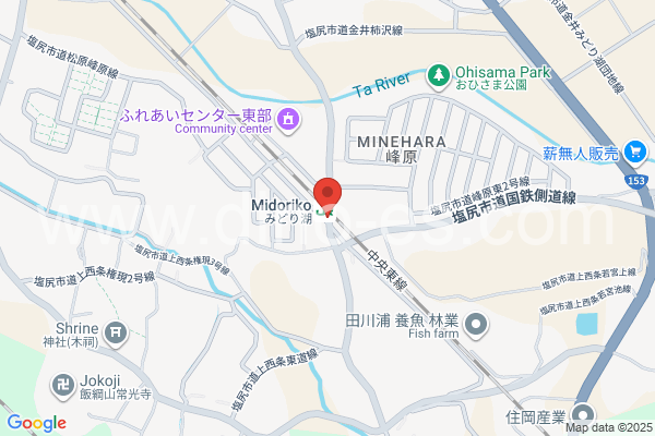 みどり湖メンズエステの地図です。map of Midoriko station where spa and massage salons are located