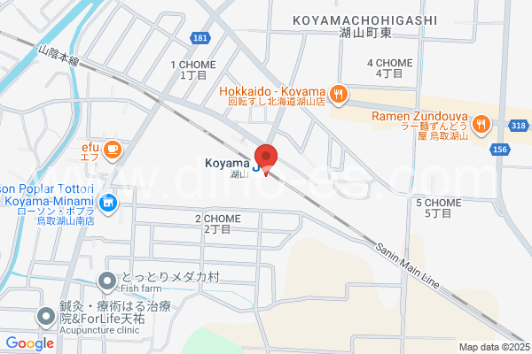 湖山メンズエステの地図です。map of Koyama station where spa and massage salons are located
