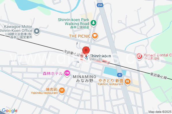 森林公園(埼玉)メンズエステの地図です。map of Shinrinkōen station where spa and massage salons are located